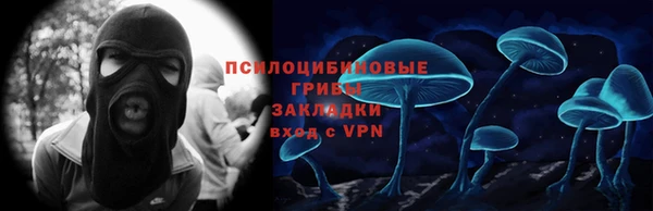 мяу мяу мука Алзамай